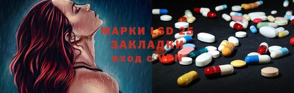 гидра Заводоуковск