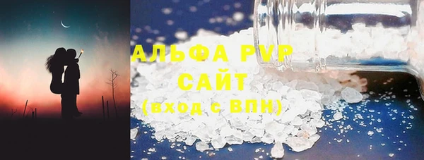гидра Заводоуковск