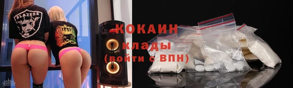 гидра Заводоуковск