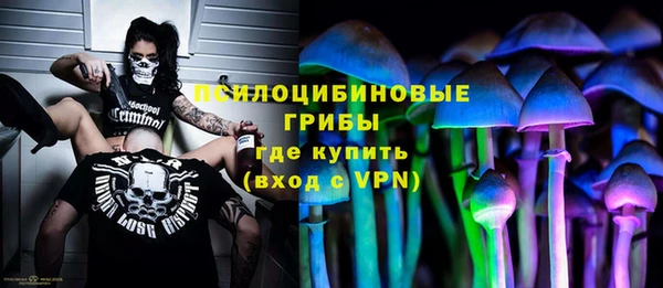 гидра Заводоуковск