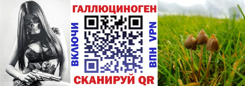 ОМГ ОМГ   наркота  это формула  Псилоцибиновые грибы GOLDEN TEACHER  Энем 